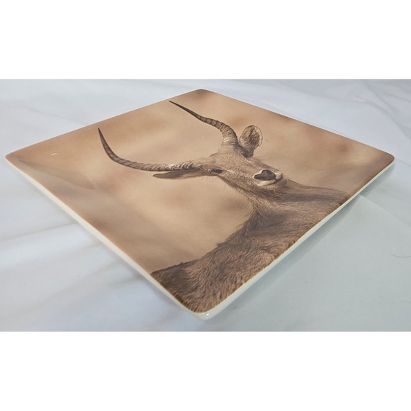 Dario Farrucci Designs 10.5" Square Dinner Plate Antelope Sepia Africa Safari - Picture 5 of 6
